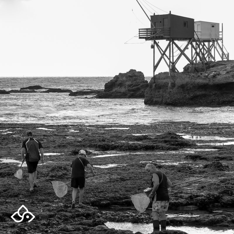 Carrelet à Saint-Palais-sur-Mer